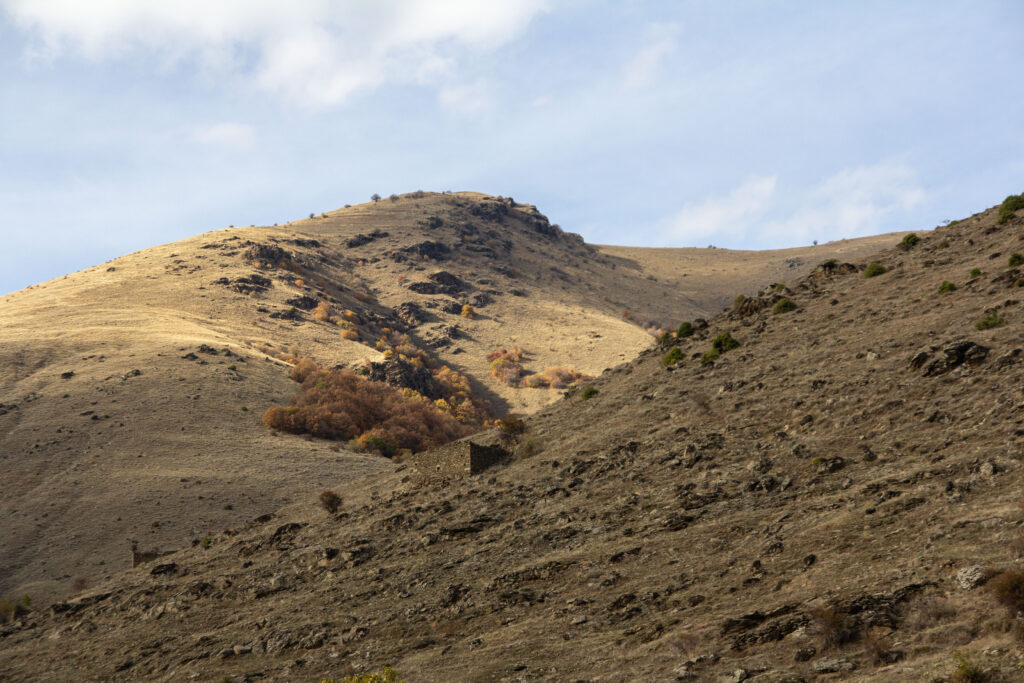 Ημιορεινά λιβάδια στο όρος Βαρνούντας, στον ανατολικό τομέα του Πάρκου/ Ε. Καζίλα- Αρχείο ΦΔΕΠαΠ